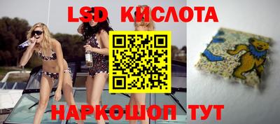 ALPHA PVP Ярославль