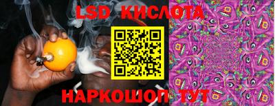 ALPHA PVP Ярославль