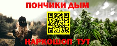 ALPHA PVP Ярославль